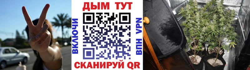 kraken вход  Арсеньев  МАРИХУАНА ГИДРОПОН 